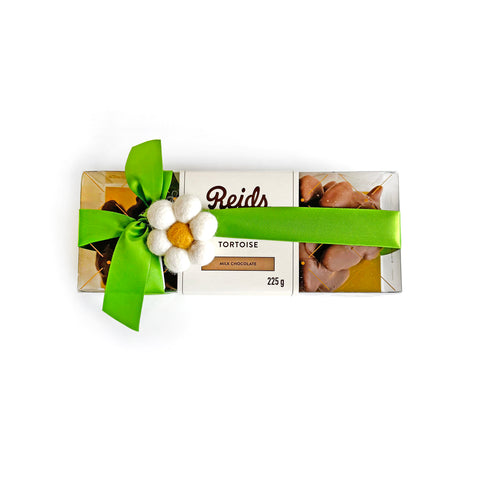 Our classic 1/2 lb milk chocolate Tortoises wrapped for Spring.