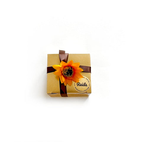Fall Fancy Sampler