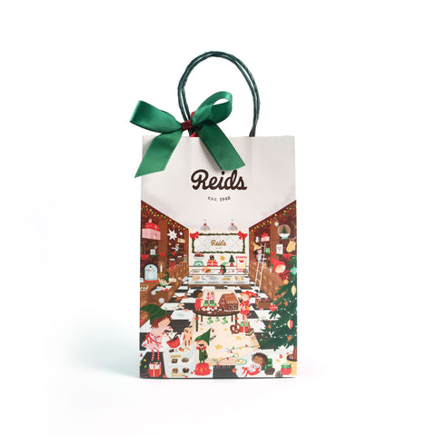 Holiday Tortoise Gift Bag