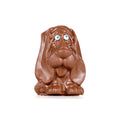 Milk chocolate mold of a long-eared dog sitting.